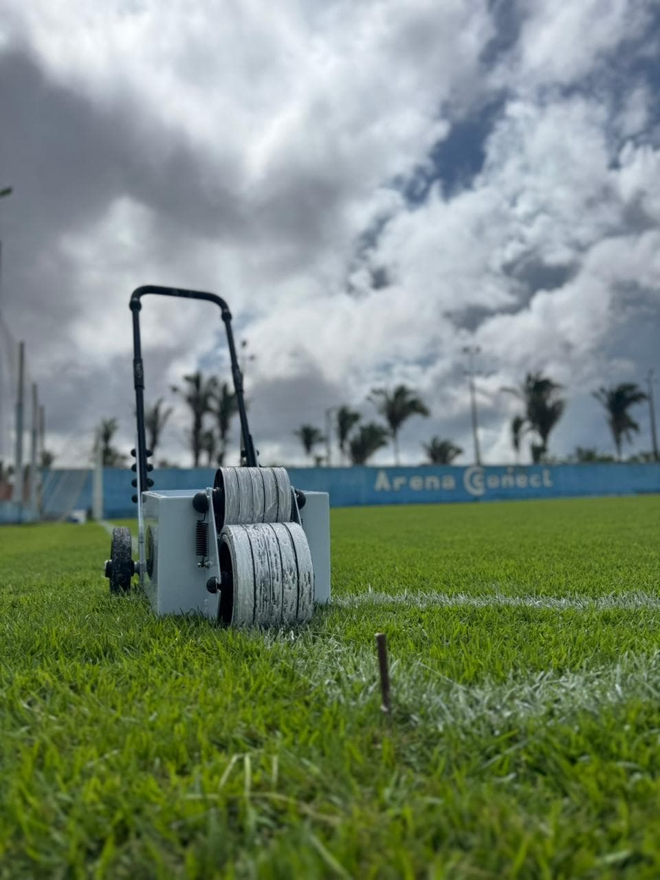 Arena Foto 8